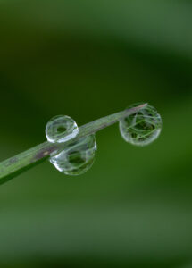 Wassertropfen